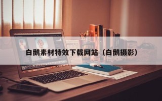 呼伦贝尔白鹅素材特效下载网站（白鹅摄影）
